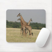 Massai Giraffes Muismat (Met muis)