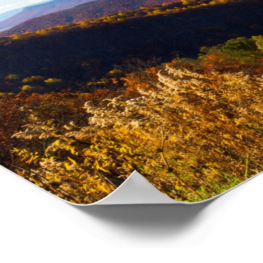 Massanutten Mountain in Herfst, Virginia Poster (Hoek)