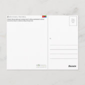 Massawa, Eritrea Reisansichtkaart Briefkaart (Achterkant)