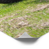 Massey Ferguson 35X Poster (Hoek)