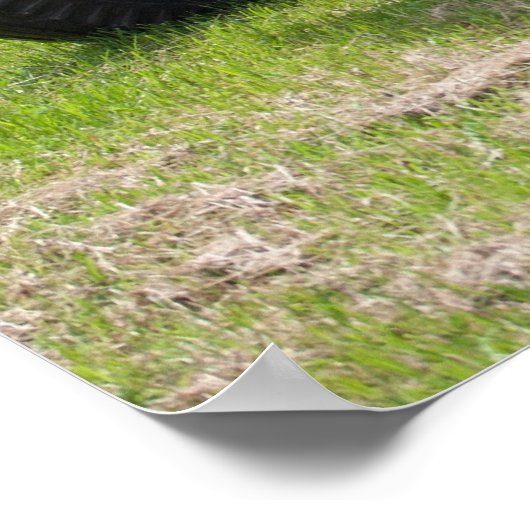 Massey Ferguson 35X Poster (Hoek)