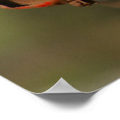 Massey Ferguson Poster (Hoek)