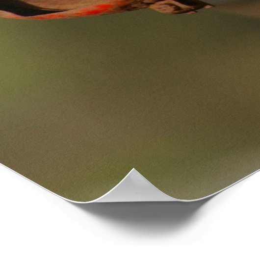 Massey Ferguson Poster (Hoek)