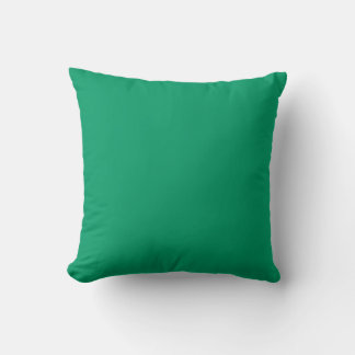 massieve turquoise aqua blauwgroen groene kussen