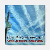 Massive Chemtrail Grid Magneet (Voorkant)
