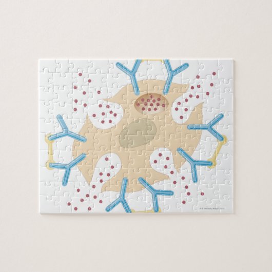 Mast Cell releasing Histamine Legpuzzel (Horizontaal)