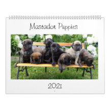 Mastador Puppies Agenda