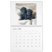 Mastador Puppies Agenda Kalender (Jan 2026)