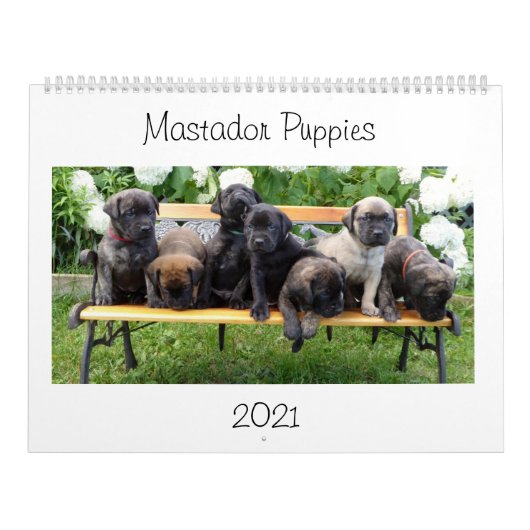 Mastador Puppies Agenda Kalender (Hoes)