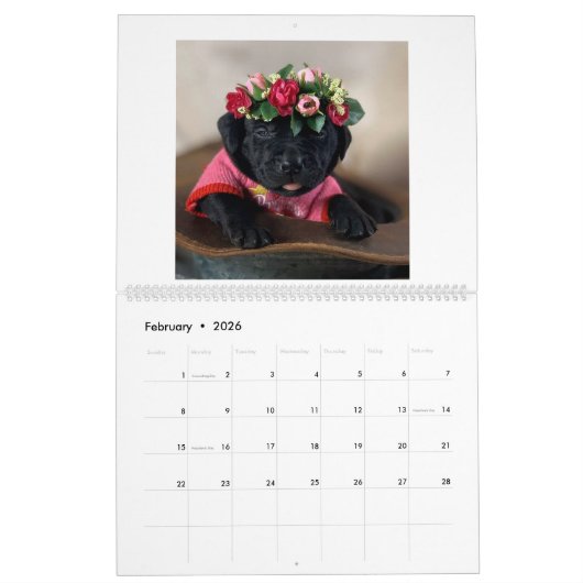 Mastador Puppies Agenda Kalender (Feb 2026)