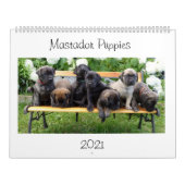 Mastador Puppies Agenda Kalender (Hoes)