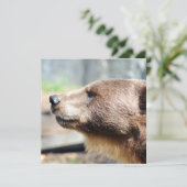 Master Bruin (Staand voorkant)