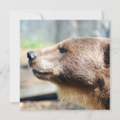 Master Bruin (Voorkant)