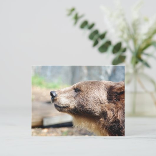 Master Bruin Briefkaart (Staand voorkant)