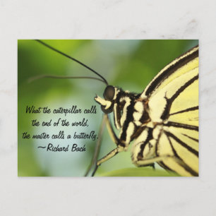Master Butterfly Foto en quote Briefkaart