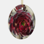 Master Gardener Desert Landscaper Foto Rood Plant Keramisch Ornament (Rechts)