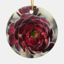 Master Gardener Desert Landscaper Foto Rood Plant Keramisch Ornament