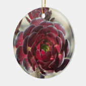 Master Gardener Desert Landscaper Foto Rood Plant Keramisch Ornament (Links)