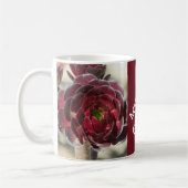 Master Gardener Desert Succulent Foto Rood Plant Koffiemok (Links)