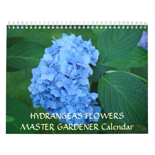 MASTER GARDENER Kalender Hortensia Bloemen (Hoes)