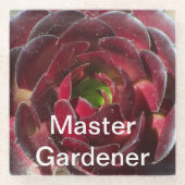 Master Gardener Kust Plant Foto Rood Succulent Glazen Onderzetter (Voorkant)