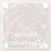 Master Gardener Kust Plant Foto Rood Succulent Glazen Onderzetter (Achterkant)
