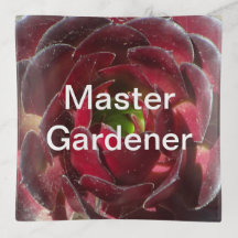 Master Gardener Kust Plant Foto Rood Succulent