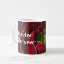 Master Gardener Rode Succulente Foto Landscaper
