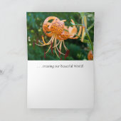 MASTER GARDENERS Mooi Wereld Kaarten Maken (Binnen)