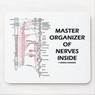Master Organizer of Nerves Inside (autonome) Muismat