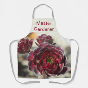Master Tuinier Woestijnplant Foto Tuinarchitect Schort