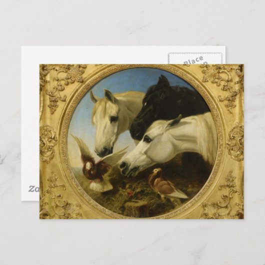 Masterdelpaard en duif schilderen John Herring Briefkaart (Voorkant / Achterkant)