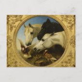 Masterdelpaard en duif schilderen John Herring Briefkaart (Voorkant)