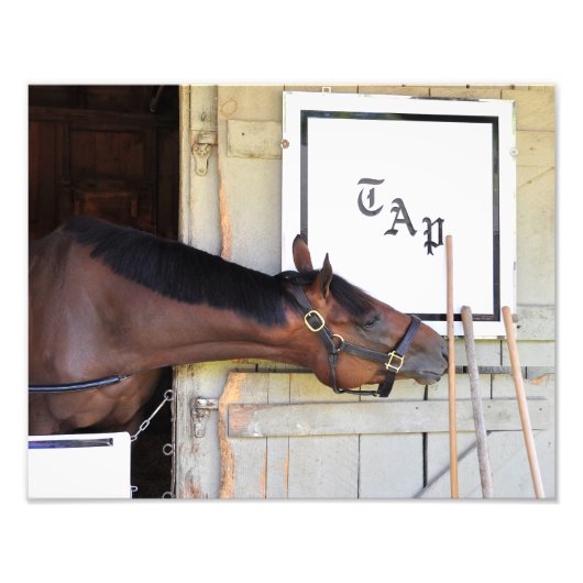 Masterplan Foto Afdruk (Voorkant)