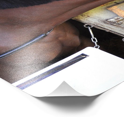 Masterplan Foto Afdruk (Hoek)