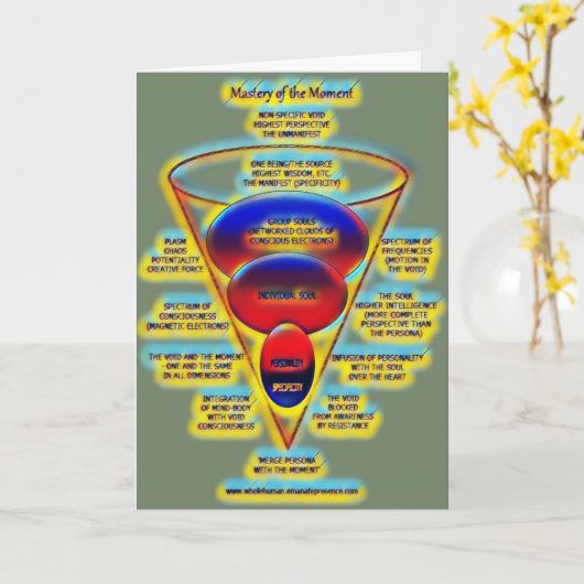 MASTERY CARD 041 KAART (Gele Bloem)