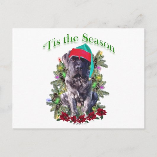 Mastiff 3 "Tis Briefkaart (Voorkant)