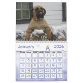 Mastiff-agenda Kalender (Jan 2026)