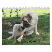 Mastiff-agenda Kalender (Hoes)
