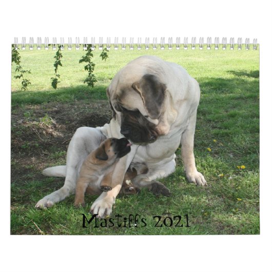 Mastiff-agenda Kalender (Hoes)