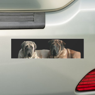 Mastiff Best Friends Bumpersticker