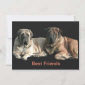 Mastiff Best Friends Kaart (Voorkant)