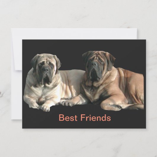Mastiff Best Friends  Kaart (Voorkant)