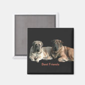 Mastiff Best Friends Magneet (Voorkant / Achterkant)