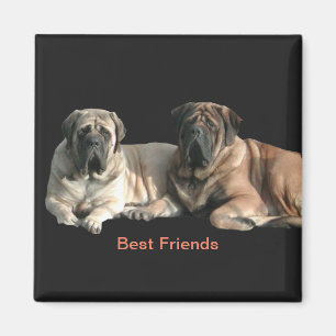 Mastiff Best Friends Magneet