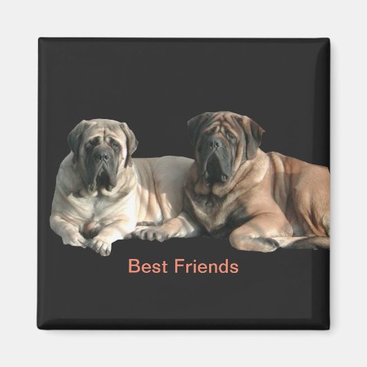 Mastiff Best Friends Magneet (Voorkant)