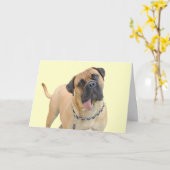 Mastiff Birthday Card by Focus for a Cause Kaart (Gele Bloem)