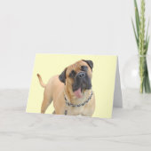 Mastiff Birthday Card by Focus for a Cause Kaart (Voorkant)