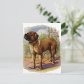 Mastiff Briefkaart (Staand voorkant)