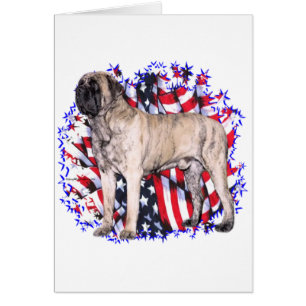 Mastiff (brindle) Patriot